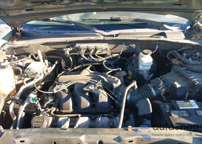 1FMYU03196KB88599: 43449479