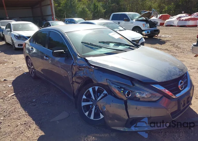 1N4AL3APXHC264206: 43450899