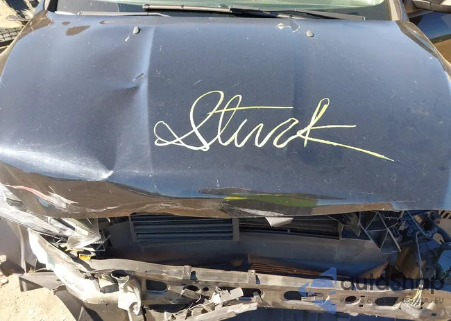 1FADP3F23JL290960: 43452870