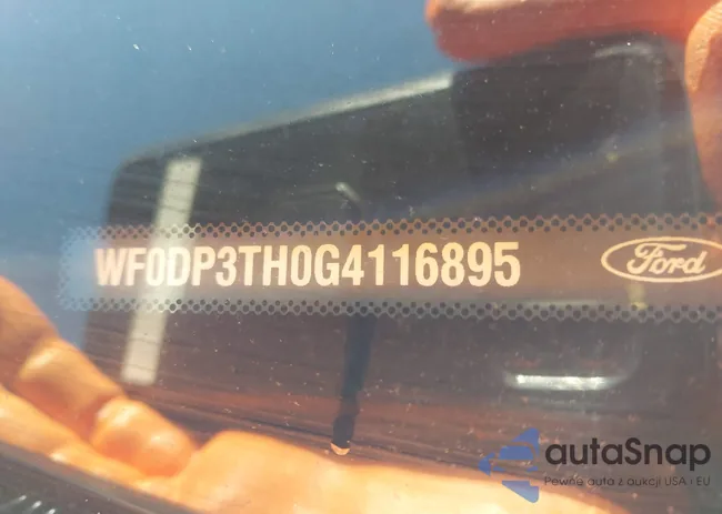 WF0DP3TH0G4116895: 43453934