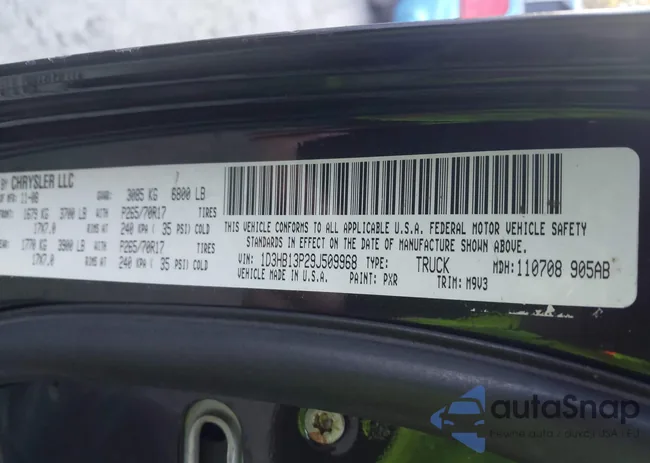 1D3HB13P29J509968: 43453313