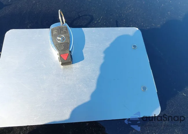 WDDWJ4JB4HF384166: 43454729