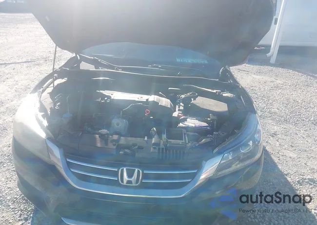 1HGCR2F54DA199802: 43455738