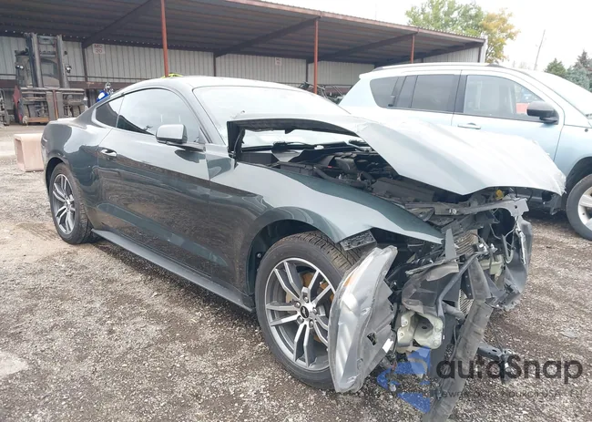 1FA6P8THXG5201767: 43456465