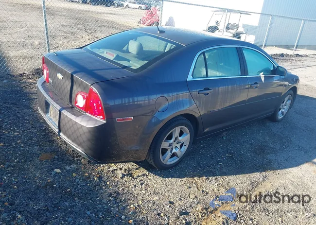 1G1ZB5EB1AF258687: 43458639