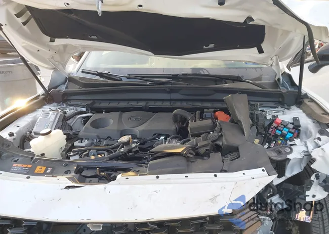 7MMVAAEW6SN132014: 43459087