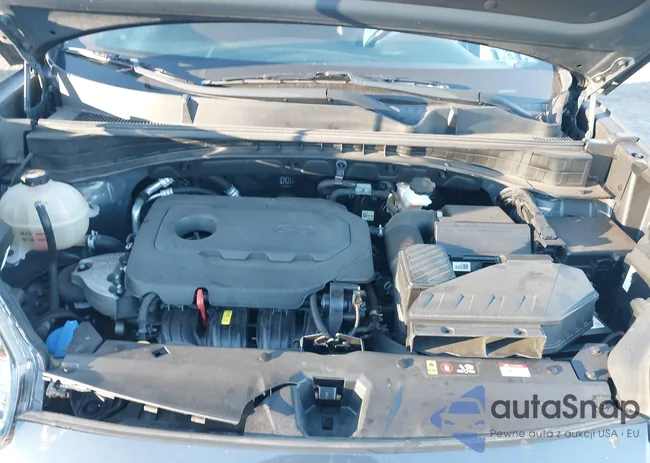 KNDP6CAC3N7954392: 43459551