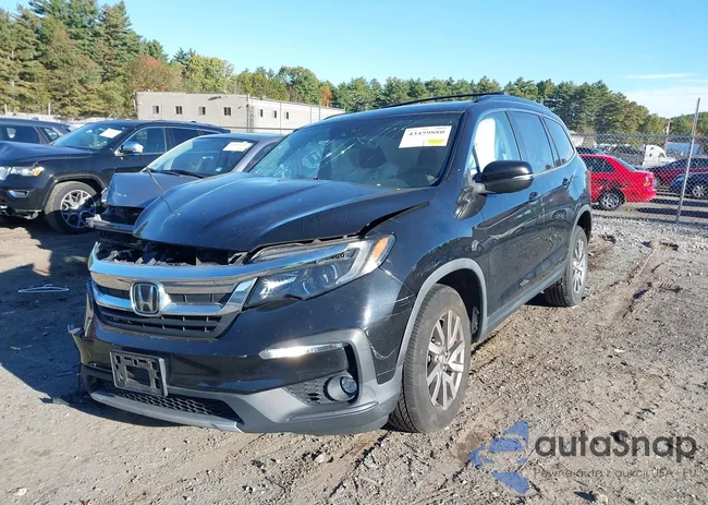 5FNYF6H5XLB045649: 43459880