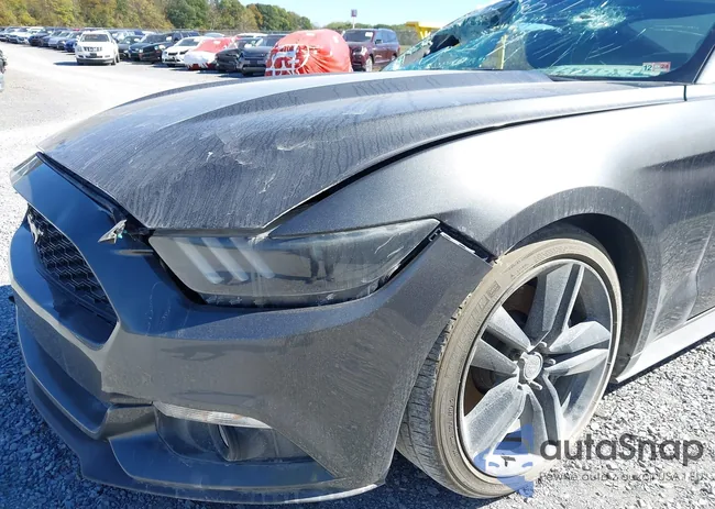 1FA6P8TH4G5219326: 43460717