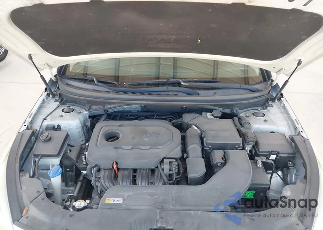 5NPE34AF2FH041071: 43461843