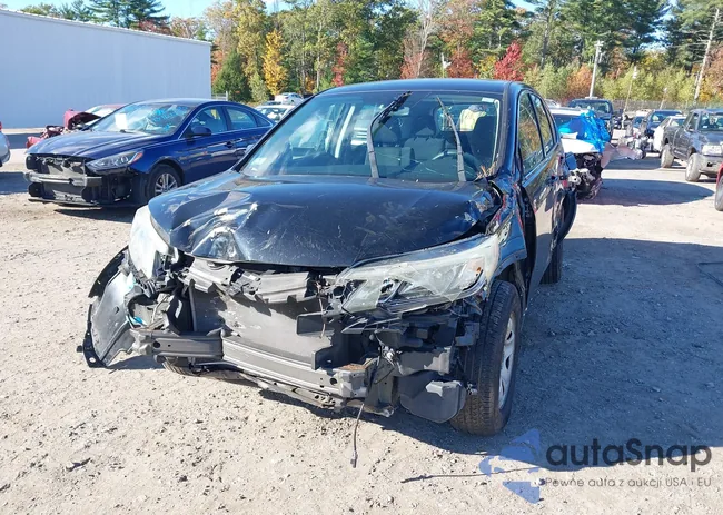 5J6RM4H36GL134659: 43461351