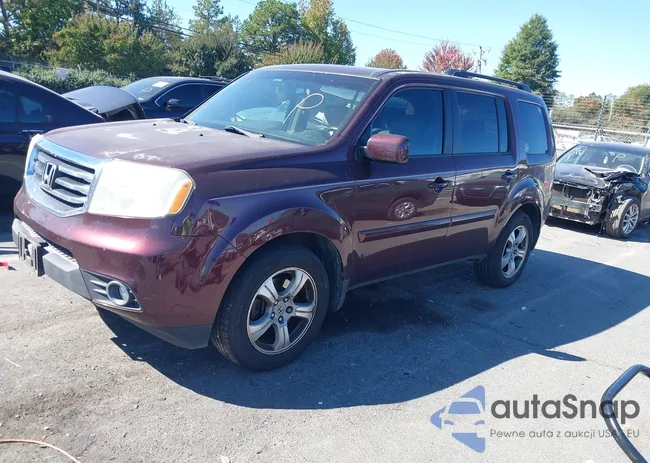 5FNYF3H51DB037617: 43462176