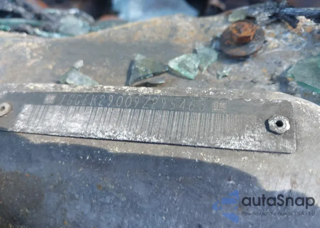 1GCEK29009Z295463: 43462318