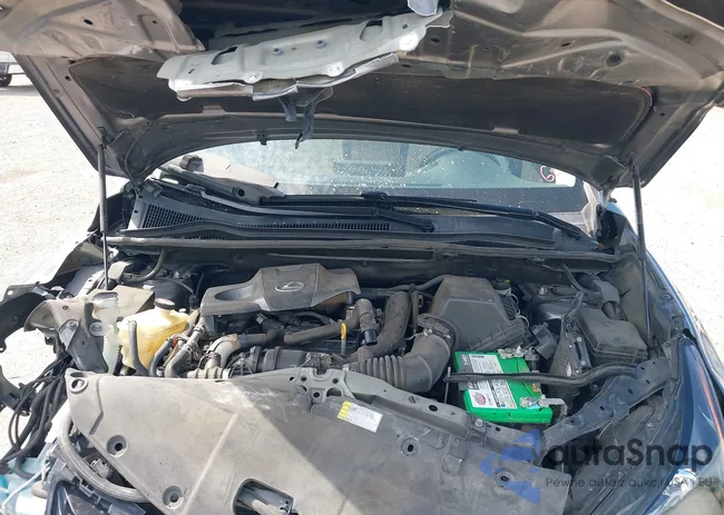 JTJYARBZ6F2017959: 43464073