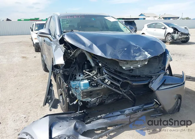 JTJYARBZ6F2017959: 43464073