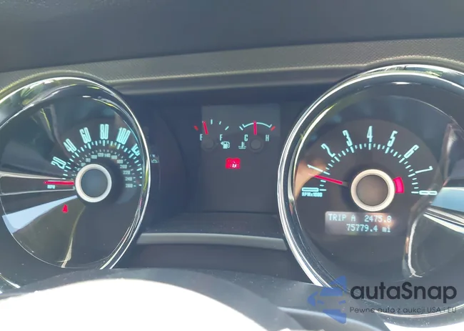 1ZVBP8AM3D5262542: 43464654