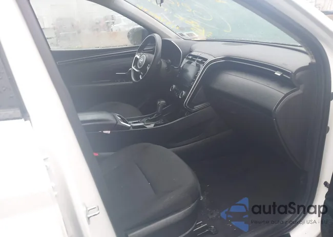 5NMJBCAE5PH228760: 43466044