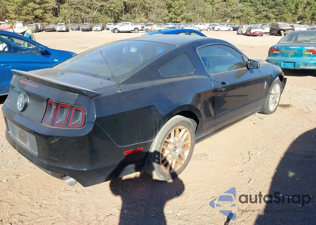 1ZVBP8AM6E5276355: 43465193