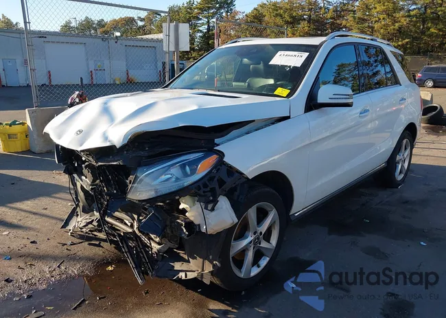 4JGDA5HB5JB067650: 43466818