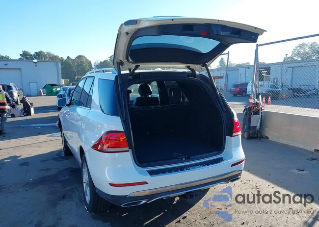 4JGDA5HB5JB067650: 43466818