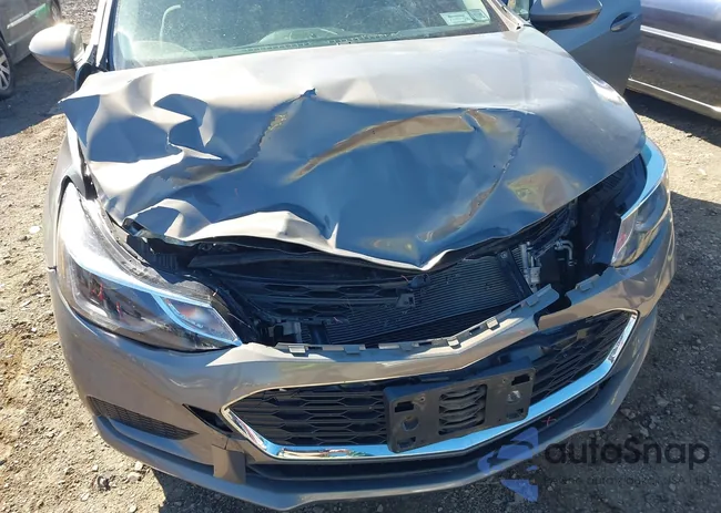 1G1BE5SM3J7226199: 43466842