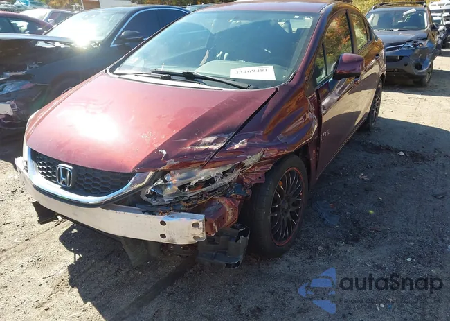 2HGFB2F54DH535967: 43469481