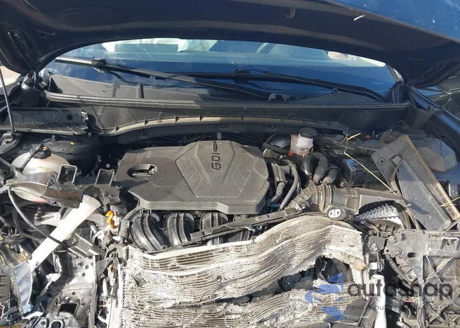 5NMJBCAE9PH199618: 43470811