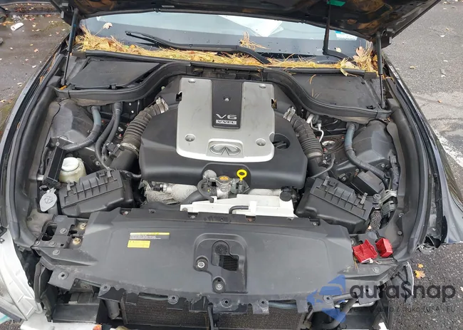 JN1CV6FE0CM201000: 43470193