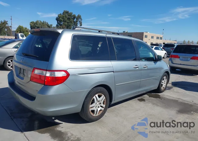 5FNRL38777B027144: 43473919