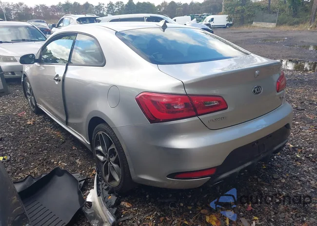 KNAFZ6A31E5246378: 43474923