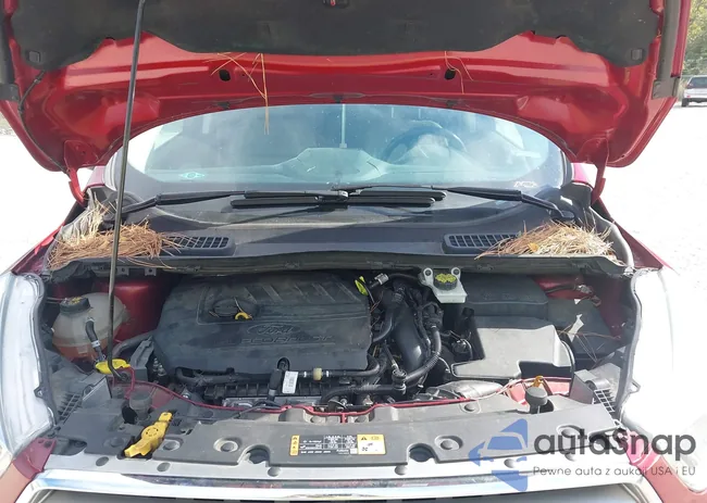 1FMCU0JD4HUC39683: 43475204