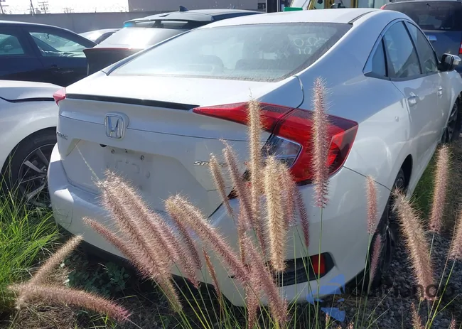 2HGFC2F87LH502855: 43476770