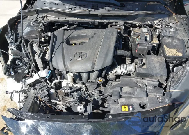 3MYDLBYV6KY523019: 43477982