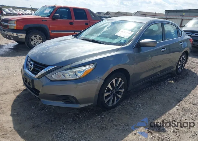 1N4AL3AP2GC204080: 43477318