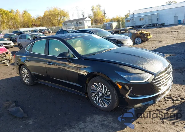 KMHL54JJ6PA058501: 43478705