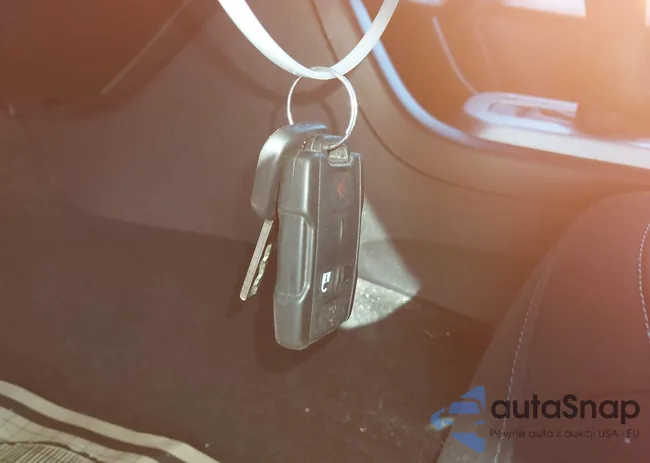 1GCPTCE19J1307011: 43479021