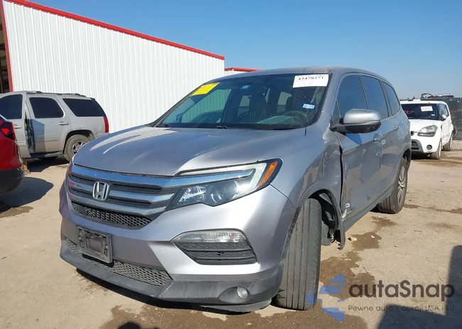 5FNYF5H56JB015166: 43478271