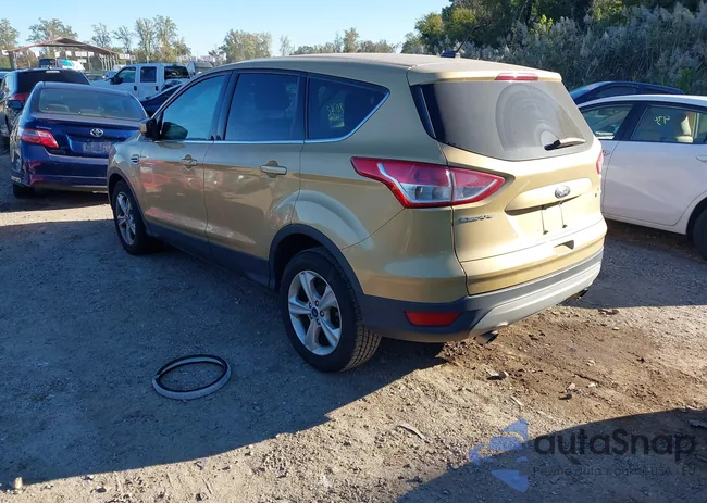 1FMCU0GX2FUB00585: 43480762