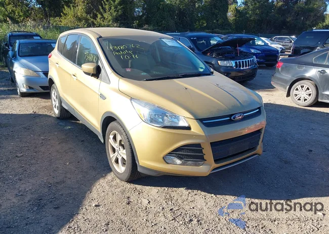 1FMCU0GX2FUB00585: 43480762