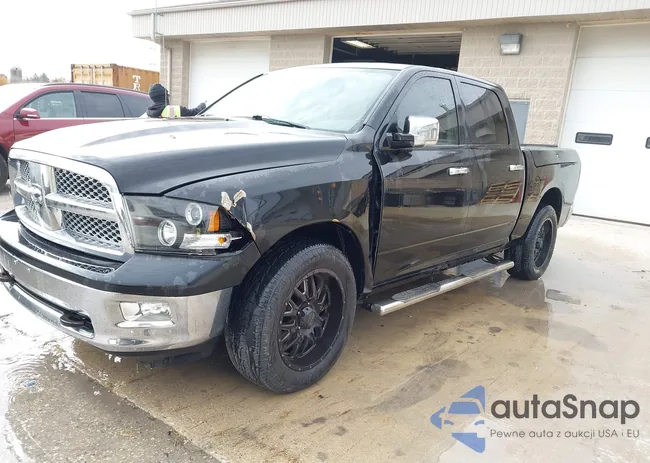 1D3HV13T29J531540: 43480868