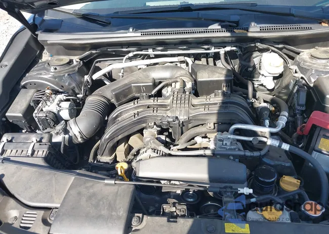 JF2GTHMC7N8250869: 43480974