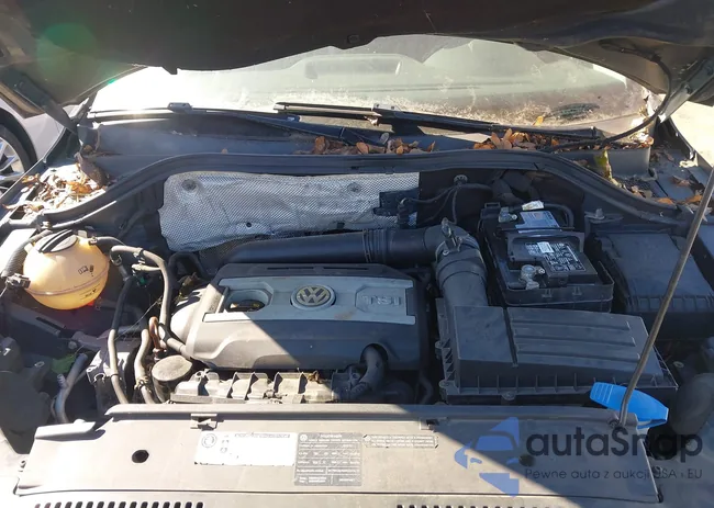 WVGBV75N89W527183: 43481703