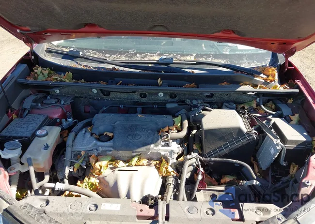 JTMRFREVXJD255666: 43481738