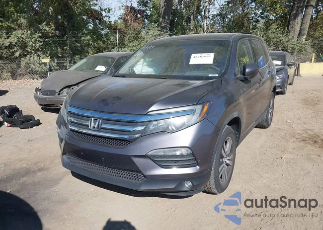 5FNYF6H3XJB021900: 43481964