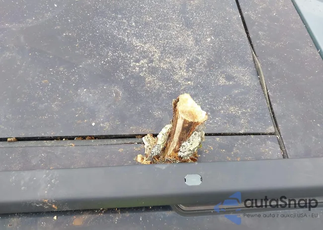 ZACCJBCT0GPD34691: 43481990