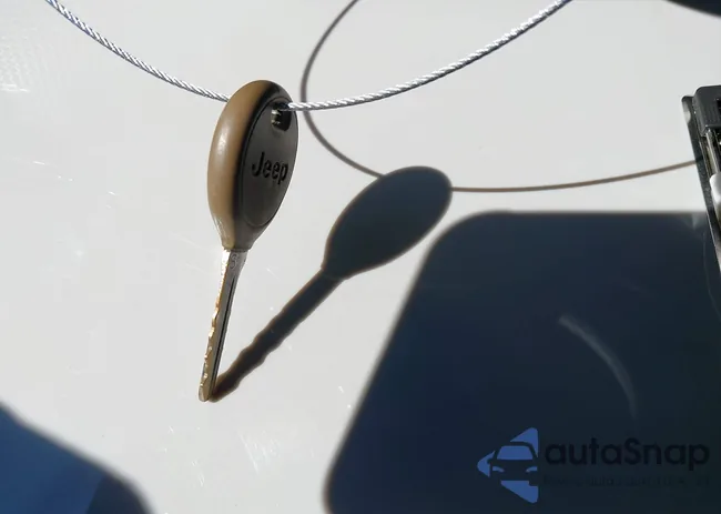 1C4AJWAG7GL157520: 43481244