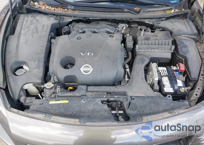 1N4AA5AP1CC853543: 43481397