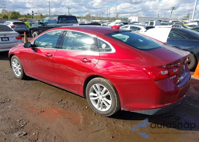 1G1ZJ5SU7HF196313: 43482611