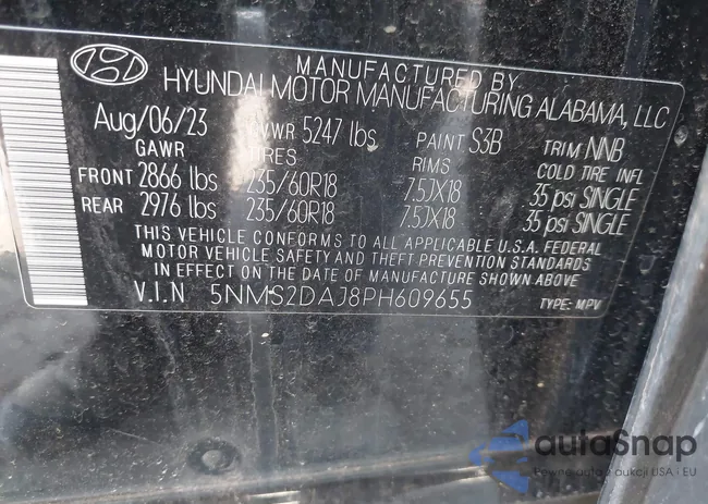 5NMS2DAJ8PH609655: 43482745