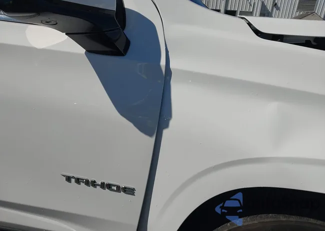 1GNSCNKD2PR535387: 43482752